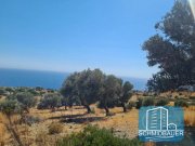 Agios Pavlos Kreta, Agios Pavlos: Großes Grundstück mit Meerblick zu verkaufen Grundstück kaufen